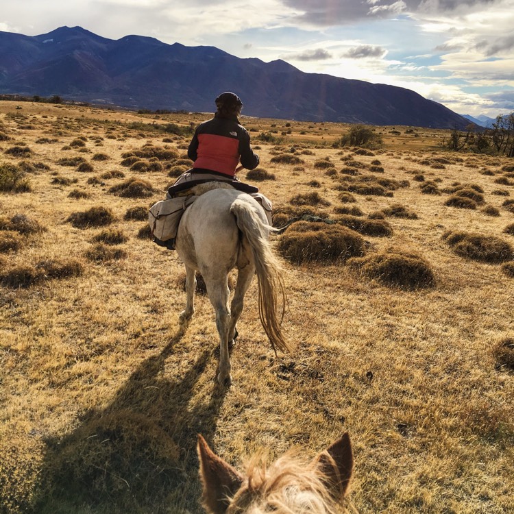 Horseback through the Pampa
