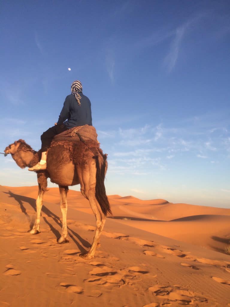 Moroccan camel trek