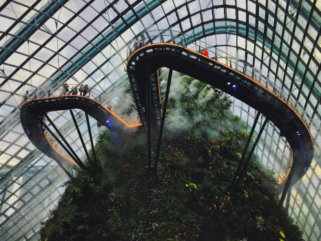 Cloud Forest, Singapore