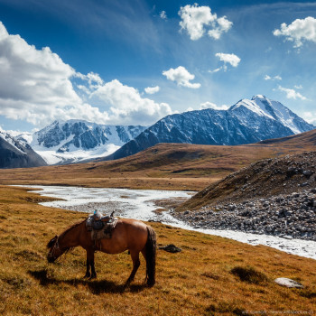 Altai Tavan Bogd, Mongolia